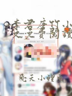 李君唐竹小说全文免费阅读无弹窗