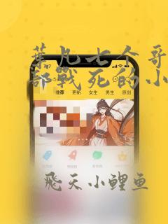 叶凡七个哥哥全部战死的小说叫什么名字