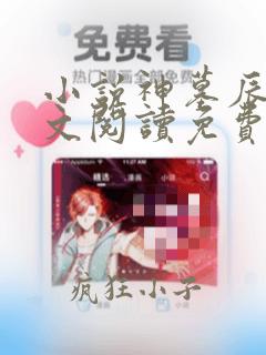 小说神墓辰东全文阅读免费