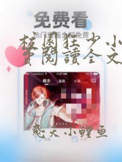 校园狂少小说免费阅读全文无删减