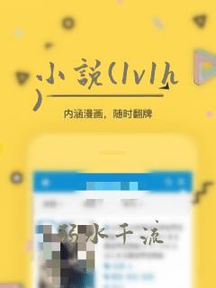小说(1v1h)