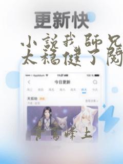 小说我师兄实在太稳健了阅读全文