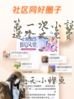 第一次小说陈之遥全文免费阅读下载