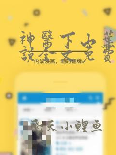 神医下山叶晨小说全文免费阅读