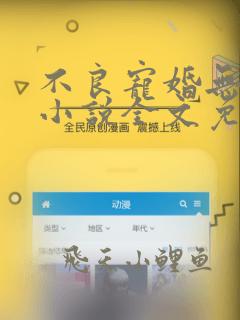 不良宠婚无删减小说全文免费阅读