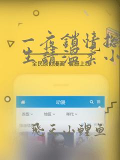 一夜锁情总裁先生请温柔小说 全文免费阅读