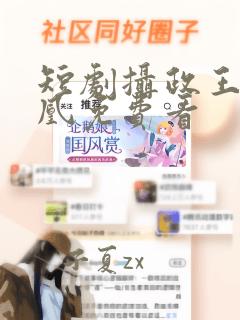 短剧摄政王的囚凰免费看