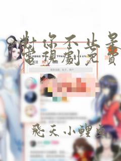 对你不止是喜欢电视剧免费在线观看