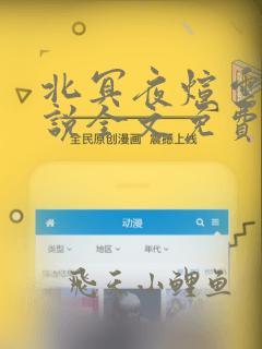 北冥夜煊云倾小说全文免费阅读完结笔趣阁