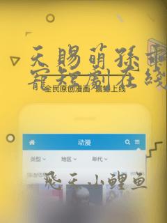 天赐萌孙乖乖受宠短剧在线观看
