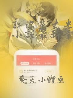 许你万丈光芒好小说最新章节列表免费