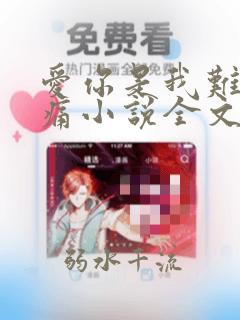 爱你是我难言的痛小说全文免费阅读