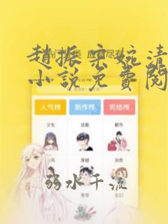 赵振宋婉清穿越小说免费阅读全文小说