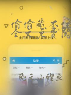 偷偷藏不住小说全文免费阅读下载