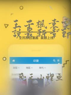 王子枫袁雯洁小说最新章节免费阅读下载