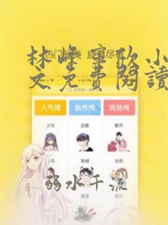 林峰宁欣小说全文免费阅读笔趣阁全文