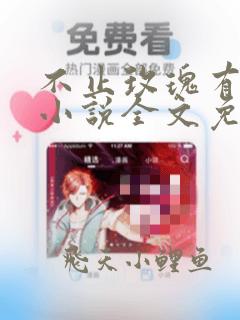 不止玫瑰有爱意小说全文免费阅读