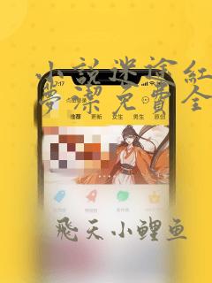 小说迷途红颜陈梦洁免费全文阅读