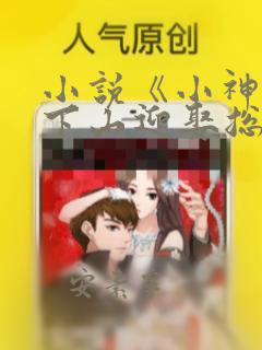 小说《小神医:下山迎娶总裁未婚妻》
