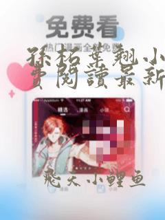 孙柘叶翘小说免费阅读最新章节更新时间