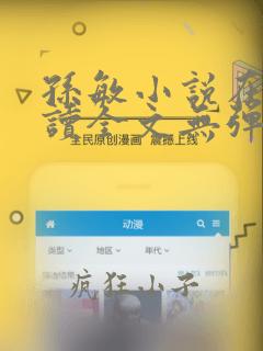 孙敏小说在线阅读全文无弹窗