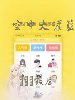 空中大灌篮2：结局+番外