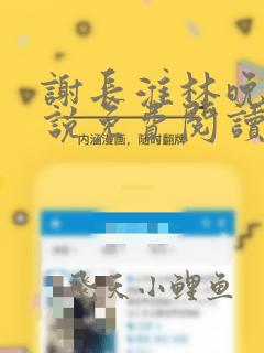 谢长淮林晚晴小说免费阅读最新章节