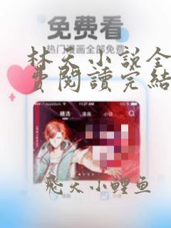林天小说全文免费阅读完结篇