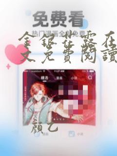 金银花露在线全文免费阅读笔趣阁冷门书屋