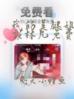 我的美腿姐姐小说林凡免费阅读全文