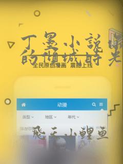 丁墨小说你和我的倾城时光免费阅读