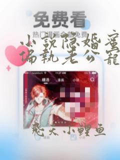 小说隐婚蜜爱:偏执老公宠上瘾免费看