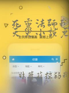 死灵法师我即是天灾小说免费阅读笔趣阁