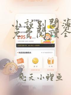 小说别闹薄先生免费阅读全文无窗口