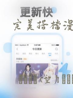 完美搭档漫画