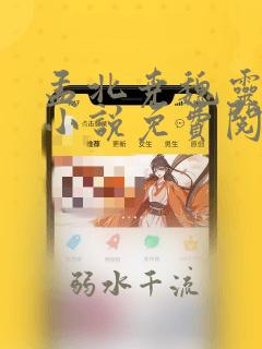 孟北尧魏灵央的小说免费阅读最新章节
