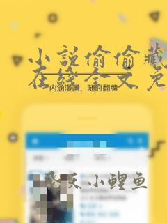 小说偷偷藏不住在线全文免费阅读