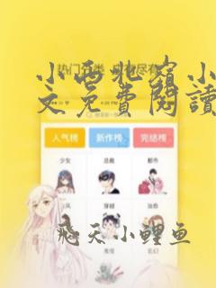 小西北岭小说全文免费阅读最新章节