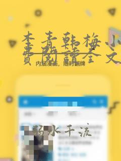 李青韩梅小说免费阅读全文最新章节