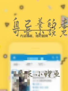 自己养的老婆最可爱小说免费阅读