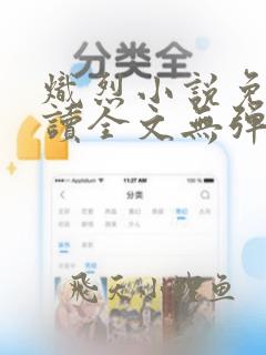 炽烈小说免费阅读全文无弹窗