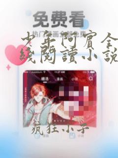 少年阿宾全文在线阅读小说