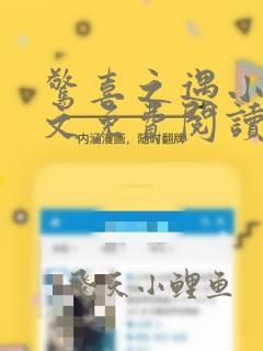 惊喜之遇小说全文免费阅读笔趣阁