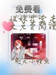 姐妹花当老婆全文免费阅读最新章节