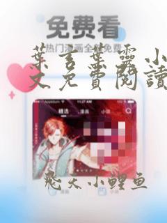 叶玄叶灵小说全文免费阅读小说