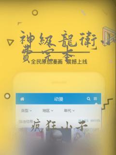 神级龙卫小说免费完本