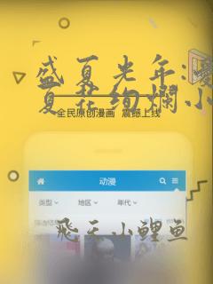 盛夏光年:爱如夏花绚烂小说免费阅读