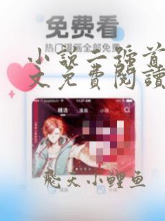 小说二号首长全文免费阅读