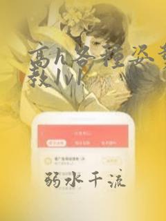 高h各种姿势调教1v1