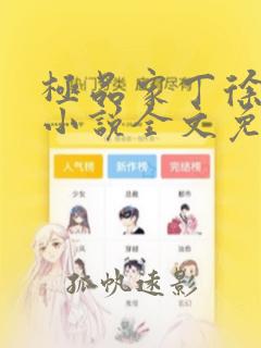 极品家丁徐芷晴小说全文免费看